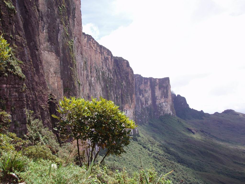 P3160164.JPG