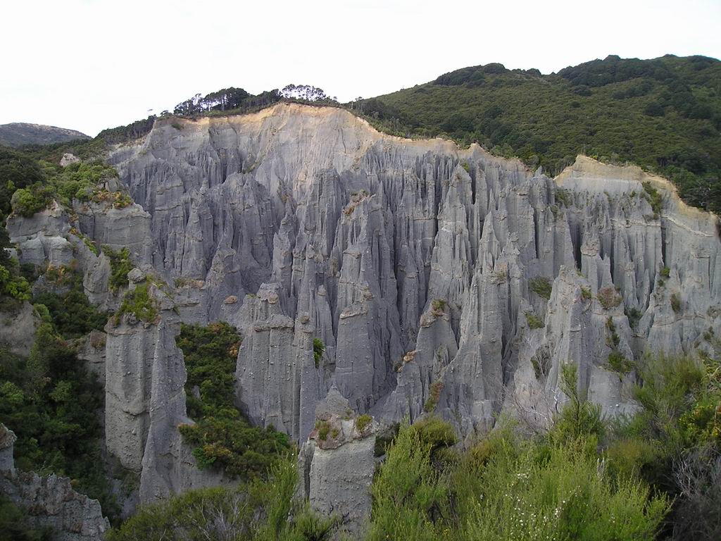 150 P1010157.JPG
