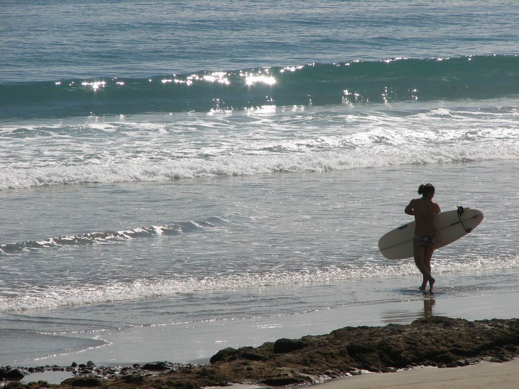 380 IMG_1206.JPG
