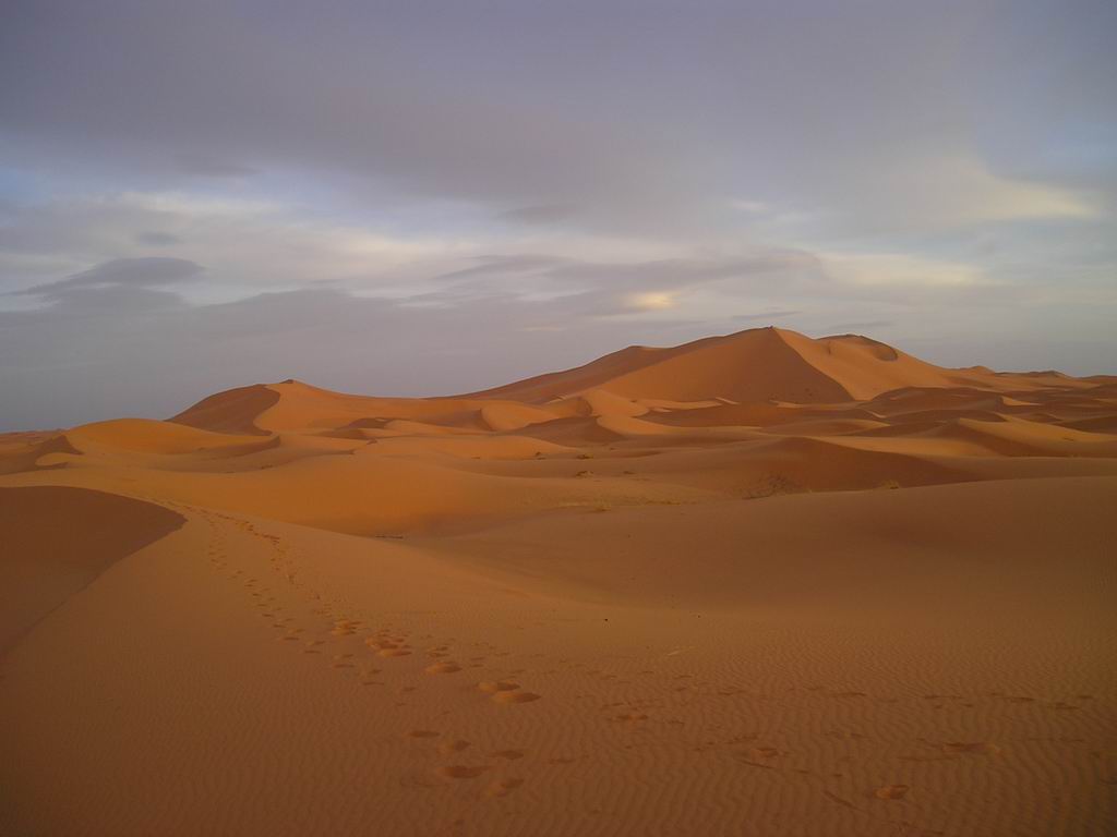 PA030151.JPG