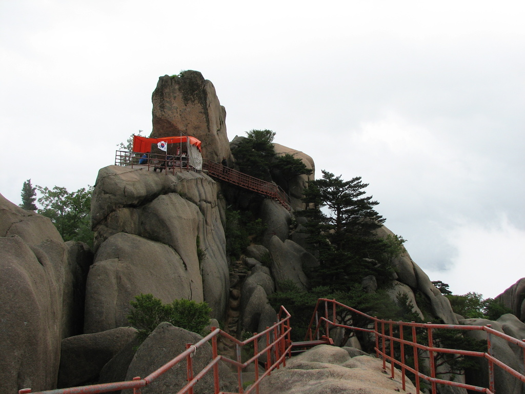 230 IMG_5235.jpg