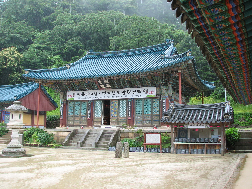 250 IMG_5256.jpg