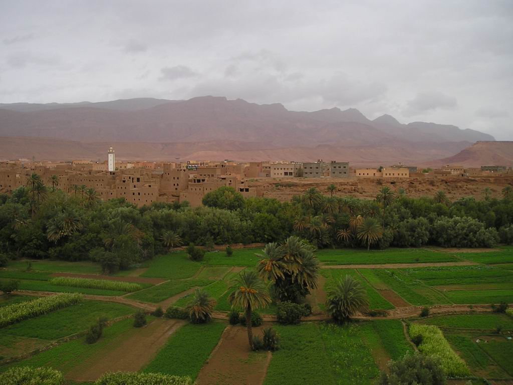 PA050177.JPG