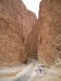 PA050171.JPG